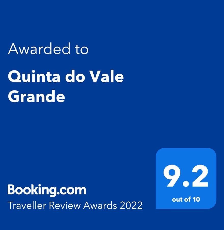 Quinta Do Vale Grande Villa Албергария-а-Веля Екстериор снимка