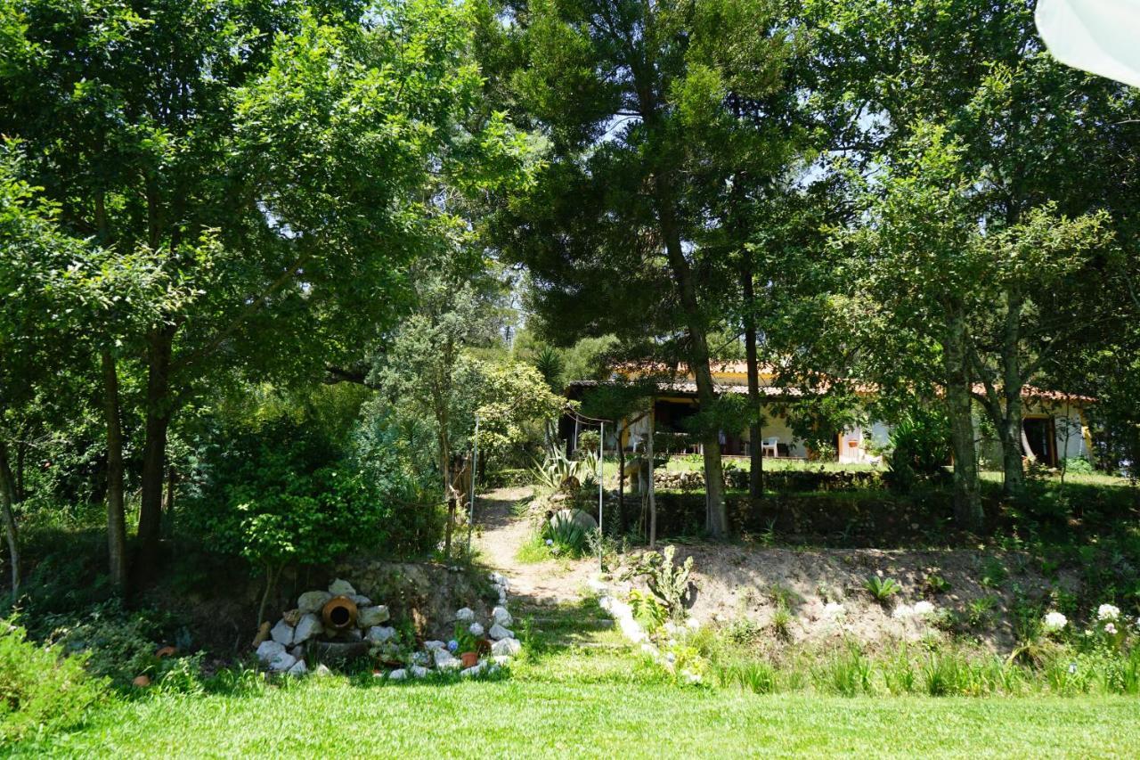 Quinta Do Vale Grande Villa Албергария-а-Веля Екстериор снимка