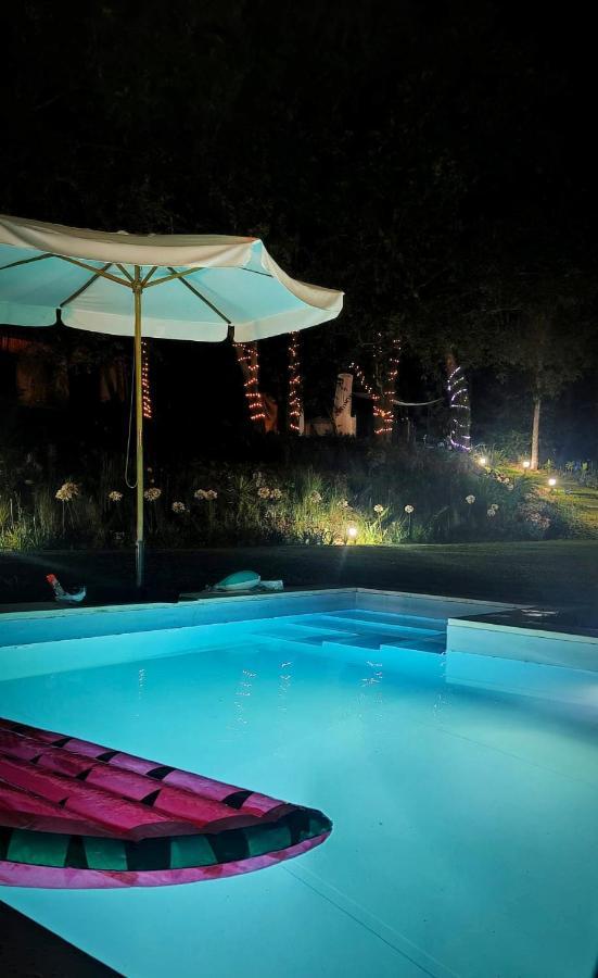 Quinta Do Vale Grande Villa Албергария-а-Веля Екстериор снимка