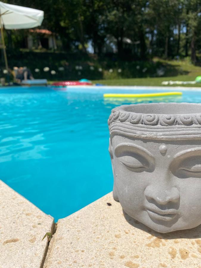 Quinta Do Vale Grande Villa Албергария-а-Веля Екстериор снимка